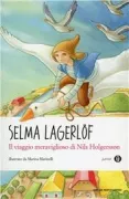 Copertina libro