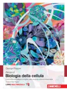 Copertina libro