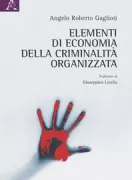 Copertina libro