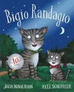 Copertina libro 