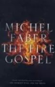 Copertina libro Faber Michel libri