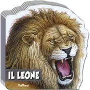 Copertina libro 