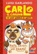 Copertina libro 