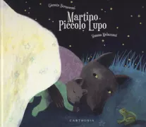 Copertina libro 