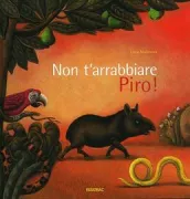 Copertina libro 