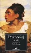 Copertina libro Stefan Zweig libri