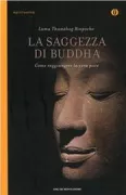 Copertina libro 9788804604112
