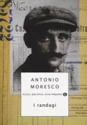 Copertina libro <b>I randagi</b>