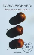 Copertina libro <b>Non vi lascerò orfani</b>
