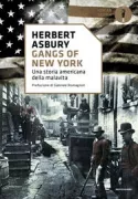 Copertina libro <b>Gangs of New York</b>