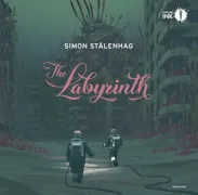 Copertina libro <b>The labyrinth<br></b>(titolo originale o altro titolo: <i>Labyrinten</i>)