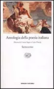 Copertina libro 9788806162900