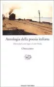 Copertina libro 9788806164072