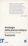 Copertina libro 9788806173135