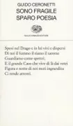 Copertina libro Guido Ceronetti libri