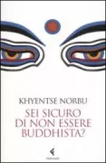 Copertina libro <b>Sei sicuro di non essere buddhista?<br></b>(titolo originale o altro titolo: <i>What makes you not a buddhist</i>)