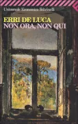 Copertina libro <b>Non ora, non qui</b>