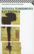 Copertina libro Giorgio Amitrano libri