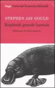 Copertina libro <b>Risplendi grande lucciola<br></b>(titolo originale o altro titolo: <i>Bully for brontosaurus. -</i>)