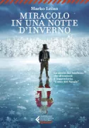 Copertina libro <b>Miracolo in una notte d'inverno<br></b>(titolo originale o altro titolo: <i>Joulutarina</i>)