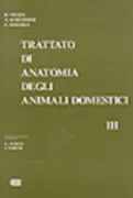 Copertina libro 9788808083128
