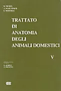 Copertina libro 9788808083166