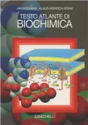 Copertina libro <b>Testo atlante di biochimica<br></b>(titolo originale o altro titolo: <i>Taschenatlas der Biochemie</i>)