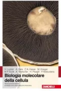 Copertina libro <b>Biologia molecolare della cellula</b>