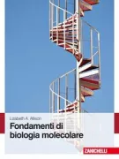Copertina libro <b>Fondamenti di biologia molecolare<br></b>(titolo originale o altro titolo: <i>Fundamental molecular biology</i>)