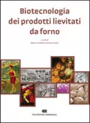 Copertina libro 9788808181213