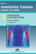 Copertina libro 9788808181527