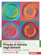 Copertina libro <b>Principi di chimica degli alimenti</b>