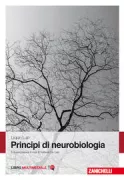 Copertina libro <b>Principi di neurobiologia<br></b>(titolo originale o altro titolo: <i>Principles of neurobiology</i>)