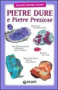 Copertina libro 9788809035331