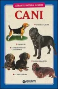 Copertina libro 9788809039131