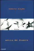 Copertina libro <b>Notizia del disastro</b>