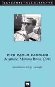 Copertina libro <b>Accattone Mamma Roma Ostia</b>