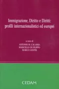 Copertina libro <b>Immigrazione, diritto e diritti</b>