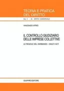 Copertina libro <b>Controllo giudiziario delle imprese collettive</b>