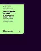 Copertina libro <b>Il processo penale</b>