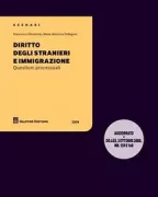 Copertina libro <b>Diritto degli stranieri e immigrazione</b>