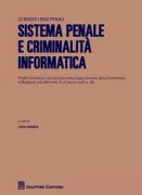 Copertina libro <b>Sistema penale e criminalità informatica</b>