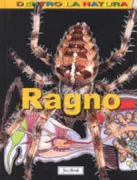 Copertina libro <b>Il ragno</b>