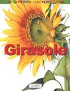 Copertina libro <b>Il girasole</b>