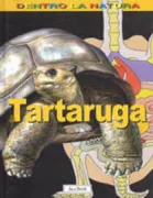 Copertina libro <b>La tartaruga</b>