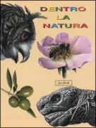 Copertina libro DENTRO LA NATURA: L APEIL GUFOIL RAGNOLA TARTARUGAIL GIRASOLEIL M