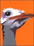 Copertina libro INCONTRA GLI ANIMALI. EDIZ. ILLUSTR ATA