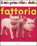 Copertina libro 9788817021050