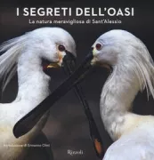 Copertina libro 9788817074186