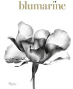 Copertina libro Elena Loewenthal libri